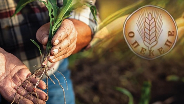Τι έδειξε η έρευνα που έγινε στον ΟΠΕΚΕΠΕ από την Ευρωπαϊκή Εισαγγελία – Έψαχναν έως τις 4 τα ξημερώματα 